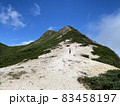 八ヶ岳のビーチ 83458197