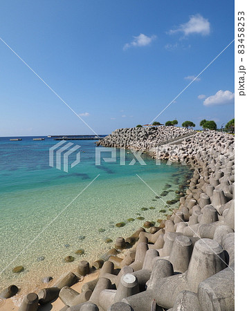 崎本部ゴリラチョップ 83458253