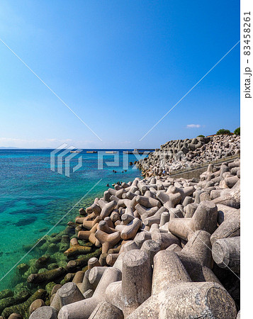 崎本部ゴリラチョップ 83458261