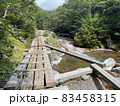 登山道 83458315