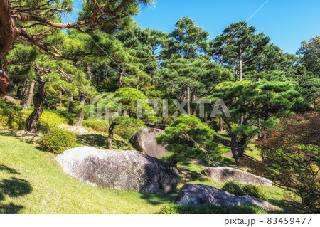 Pine tree garden in Hwadam Pine tree garden in Hwadam 83459477