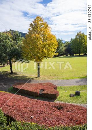 道の駅月夜野矢瀬親水公園 道の駅月夜野矢瀬親水公園 83459744