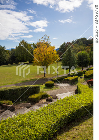 道の駅月夜野矢瀬親水公園 道の駅月夜野矢瀬親水公園 83459780
