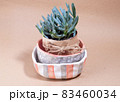 Stack Ceramic handmade bowl and plates and succulent plant 83460034
