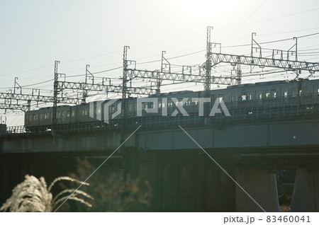 急に寒くなり今年は秋がなかった。 今日は日も差し穏やかだ。 午後、久しぶりの玉川で、 急に寒くなり今年は秋がなかった。 今日は日も差し穏やかだ。 午後、久しぶりの玉川で、 83460041