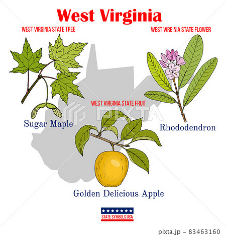 West Virginia. Set of USA official state symbols West Virginia. Set of USA official state symbols 83463160