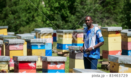 african beekeeper local black honey producer african beekeeper local black honey producer 83463729