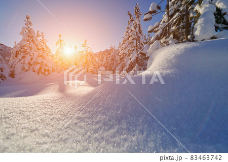 winter sunrise with fresh snow covered forest and mountains winter sunrise with fresh snow covered forest and mountains 83463742