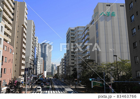 10月　港区1386日吉坂上･白金台一丁目 83463766