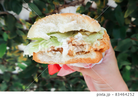 burger or chicken burger, eating burger . burger or chicken burger, eating burger . 83464252