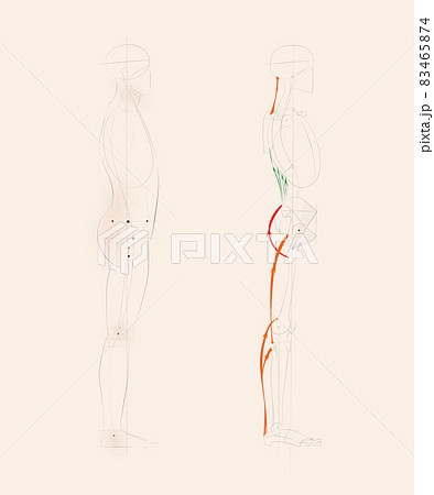 Stick Figure Side View Images – Browse 20,534 Stock Photos, Vectors, and  Video | Adobe Stock
