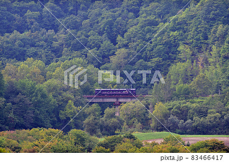 根室本線　東鹿越－金山　JR北海道　キハ40-1791（旭川）　紫水 83466417