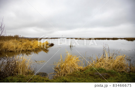 autumn lake landscape. dry grass, cloudy sky autumn lake landscape. dry grass, cloudy sky 83466675