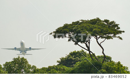 Take-off aircraft on the background of the jungle and trees in Indonesia. Take-off aircraft on the background of the jungle and trees in Indonesia. 83469052