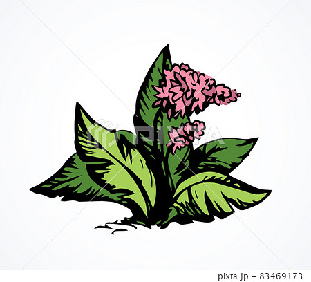 Tropical flower. Bush. Vector drawing 83469173