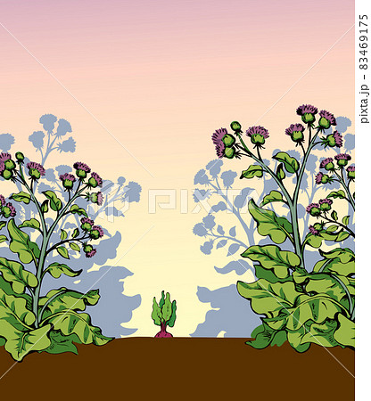Weeds in the garden. Vector drawing 83469175