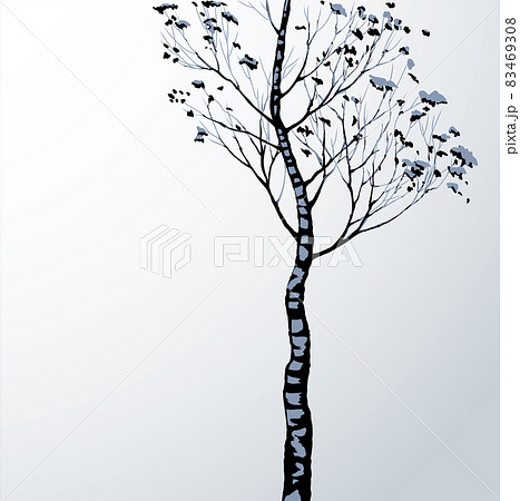 Birch. Vector drawing black pattern Birch. Vector drawing black pattern 83469308