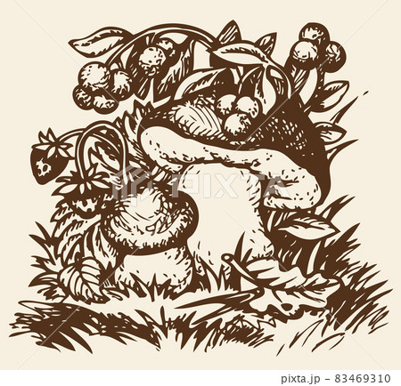 Vector sketch mushrooms, strawberries and blueberries Vector sketch mushrooms, strawberries and blueberries 83469310
