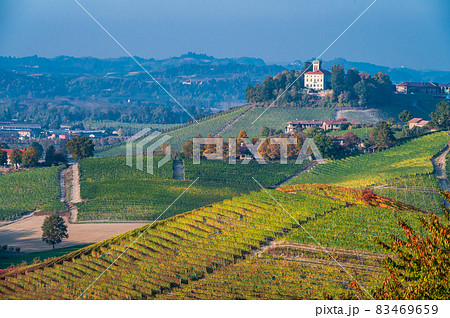 Vineyards in the Langhe 83469659