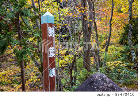秋の照葉峡 群馬県みなかみ町 秋の照葉峡 群馬県みなかみ町 83470410