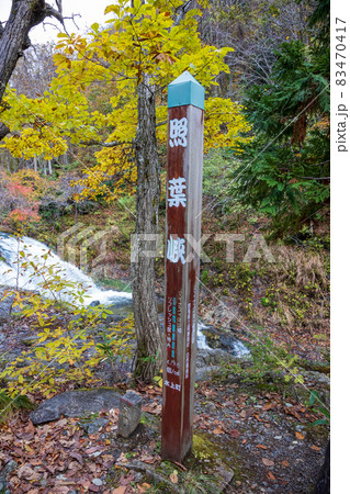 秋の照葉峡 群馬県みなかみ町 秋の照葉峡 群馬県みなかみ町 83470417