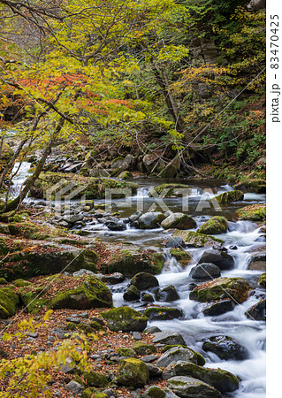 秋の照葉峡　群馬県みなかみ町 83470425