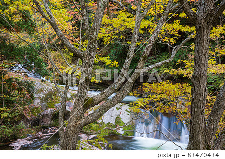 秋の照葉峡 群馬県みなかみ町 秋の照葉峡 群馬県みなかみ町 83470434