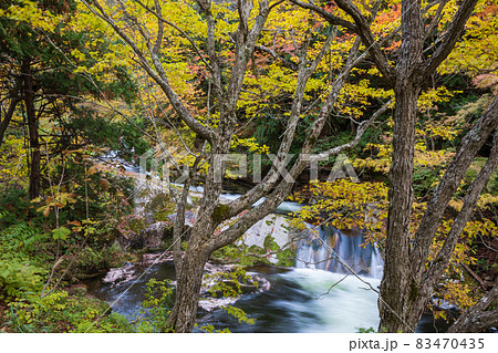 秋の照葉峡 群馬県みなかみ町 秋の照葉峡 群馬県みなかみ町 83470435
