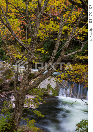 秋の照葉峡 群馬県みなかみ町 秋の照葉峡 群馬県みなかみ町 83470437