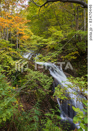 秋の照葉峡 群馬県みなかみ町 秋の照葉峡 群馬県みなかみ町 83470446