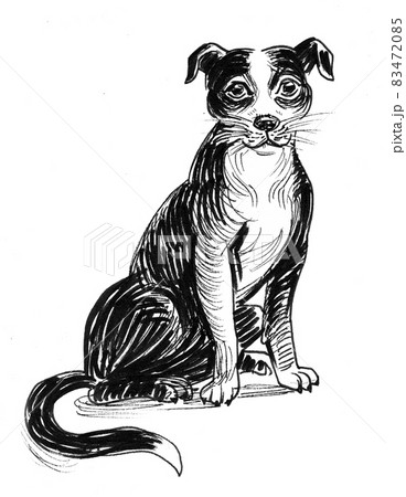 Cute sitting dog. Ink black and white drawing 83472085