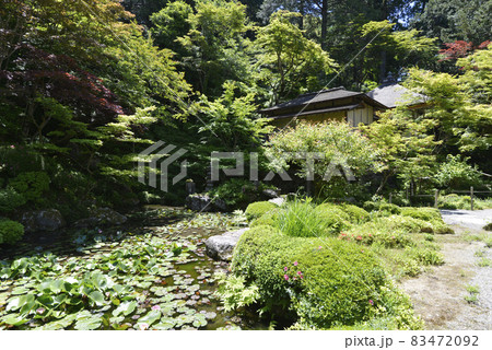 金剛輪寺 明寿院庭園 滋賀県 金剛輪寺 明寿院庭園 滋賀県 83472092