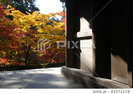 金剛輪寺 紅葉の三重塔 滋賀県 金剛輪寺 紅葉の三重塔 滋賀県 83472158