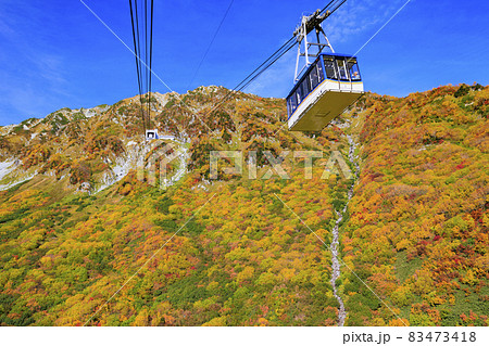 紅葉見頃な立山黒部アルペンルート 黒部平〜大観峰 紅葉見頃な立山黒部アルペンルート 黒部平〜大観峰 83473418
