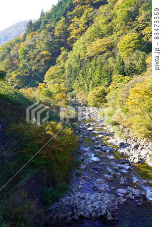 吉田川上流部のせせらぎ街道の紅葉 83473569