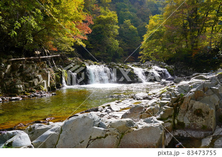 紅葉の川上川の平滝 紅葉の川上川の平滝 83473755