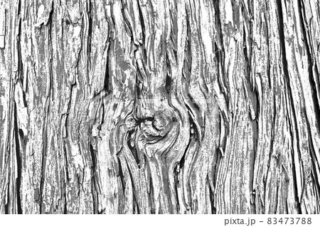 木の幹の樹皮風のテクスチャ モノクロ のイラスト素材 4737