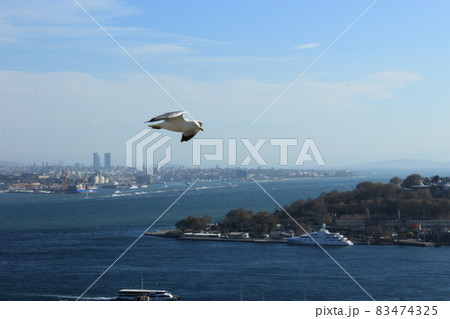 ヨーロッパとアジアの交差点　活気溢れるトルコ　イスタンブールの風景 83474325