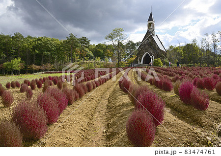 牧歌の里 牧歌の里 83474761