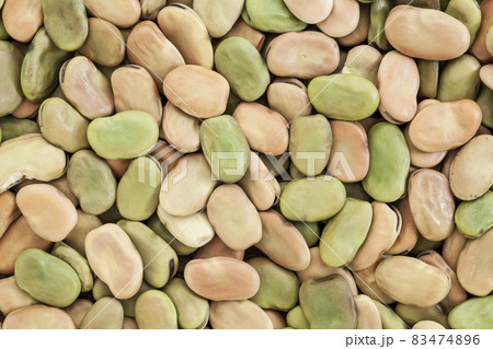 fava (broad) bean fava (broad) bean 83474896
