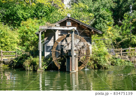 東京都渋谷区松濤の鍋島松濤公園 83475139