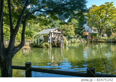 東京都渋谷区松濤の鍋島松濤公園 83475142