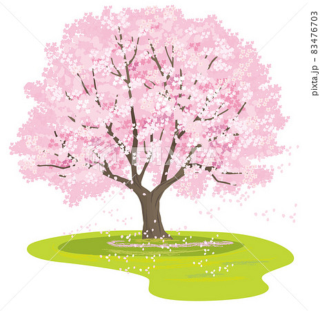満開の桜の木のベクターイラスト 83476703