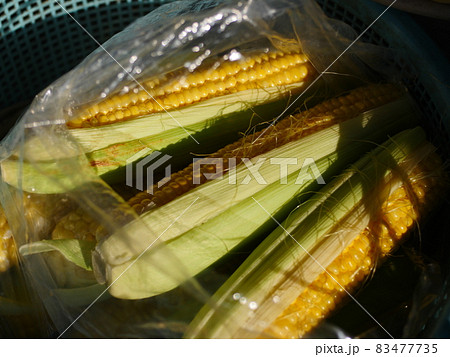 たべもの 食材 材料 83477735