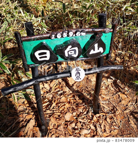 日向山 登山道 日向山 登山道 83478009