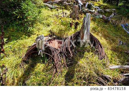 奥茶臼山北面展望地に放置されたワイヤー 83478158