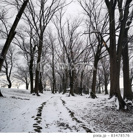 釜無川スポーツ公園 雪景色 釜無川スポーツ公園 雪景色 83478576