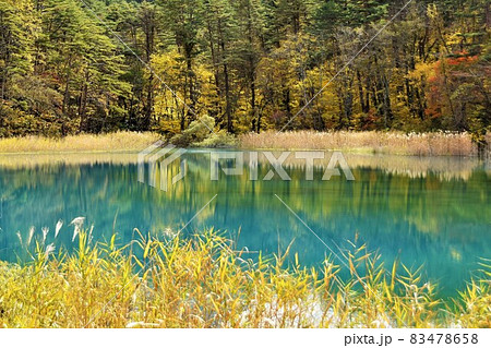 裏磐梯 五色沼(るり沼)の紅葉 裏磐梯 五色沼(るり沼)の紅葉 83478658