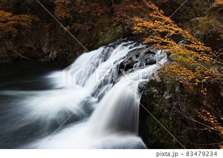 紅葉日和 紅葉日和 83479234