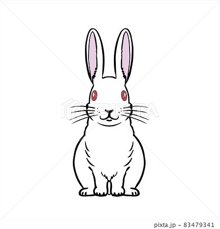 白うさぎ 正面 White Rabbitのイラスト素材 [83479341] - PIXTA